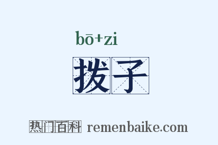 拨子是什么意思的图片